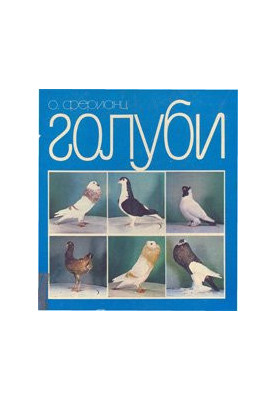 Pigeons