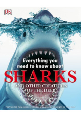 Everything You Need to Know About Sharks