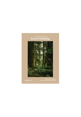 The Healing Magic of Forest Bathing: Finding Calm, Creativity, and Connection in the Natural World