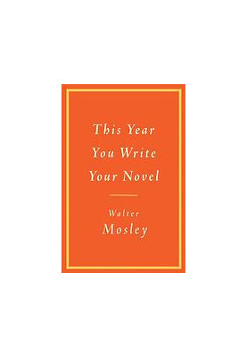 This year you write your novel