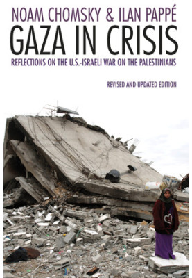 Gaza in Crisis: Reflections on Israel's war against the Palestinians