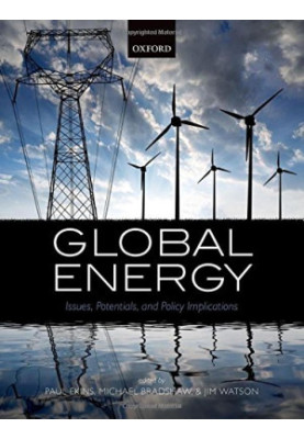 Global energy : issues, potentials, and policy implications