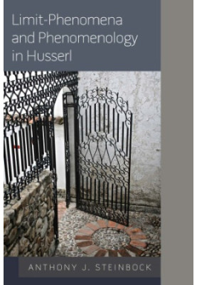 Limit-phenomena and phenomenology in Husserl