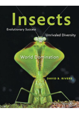Insects: Evolutionary Success, Unrivaled Diversity, and World Domination
