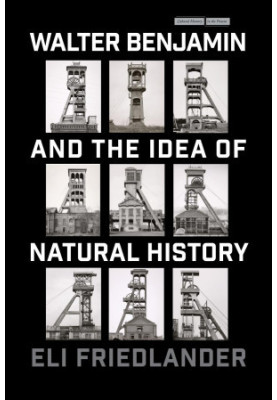 Walter Benjamin and the Idea of Natural History (Cultural Memory in the Present)