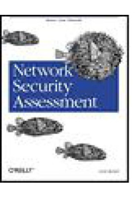 Network Security Assessment