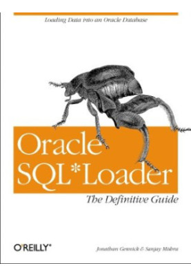 Oracle SQL*Loader: the definitive guide