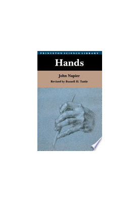 Hands