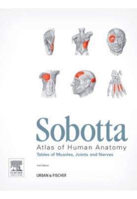 Sobotta Atlas of human anatomy. Tables of muscles, joints, and nerves
