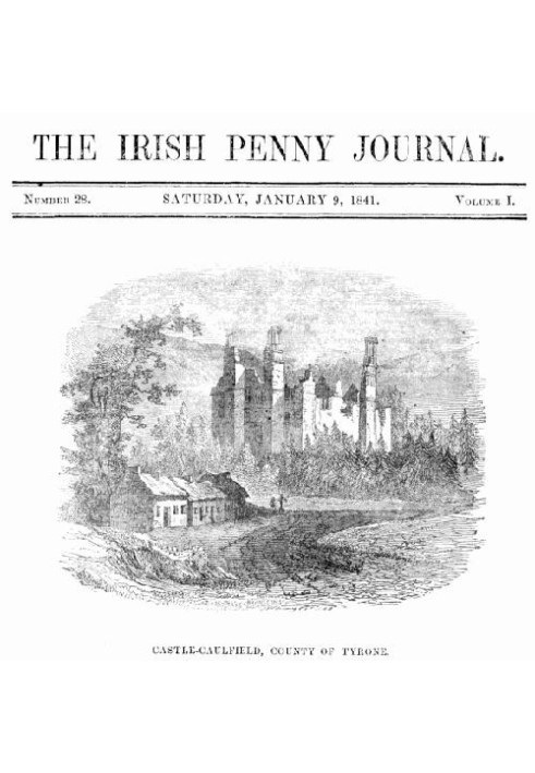 The Irish Penny Journal, Vol. 1 № 28, 9 січня 1841 р