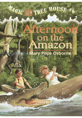 Afternoon on the Amazon