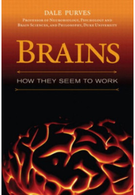 Brains: how they seem to work