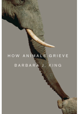 How Animals Grieve