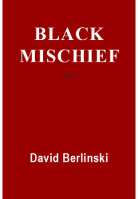 Black mischief: language, life, logic, luck