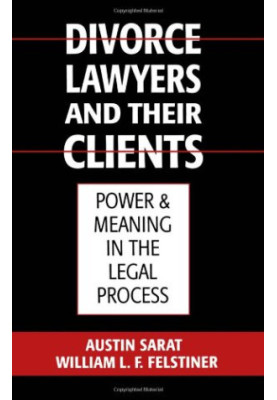 Divorce Lawyers and Their Clients: Power and Meaning in the Legal Process