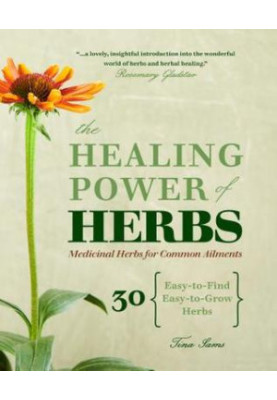 The Healing Power of Herbs: Medicinal Herbs for Common Ailments