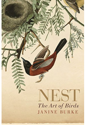 Nest : the art of birds