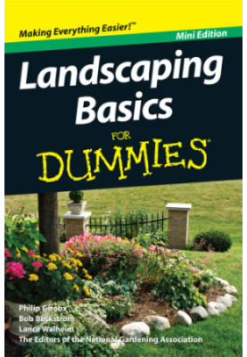 Landscaping basics for dummies