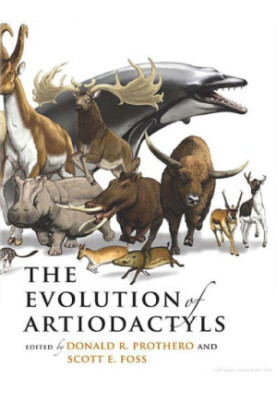 The Evolution of Artiodactyls