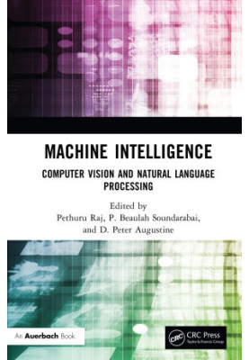 Machine Intelligence: Computer Vision and Natural Language Processing