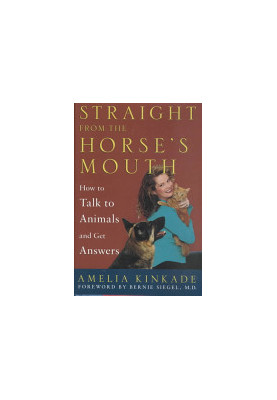 Straight from the Horse's Mouth: How to Talk to Animals and Get Answers