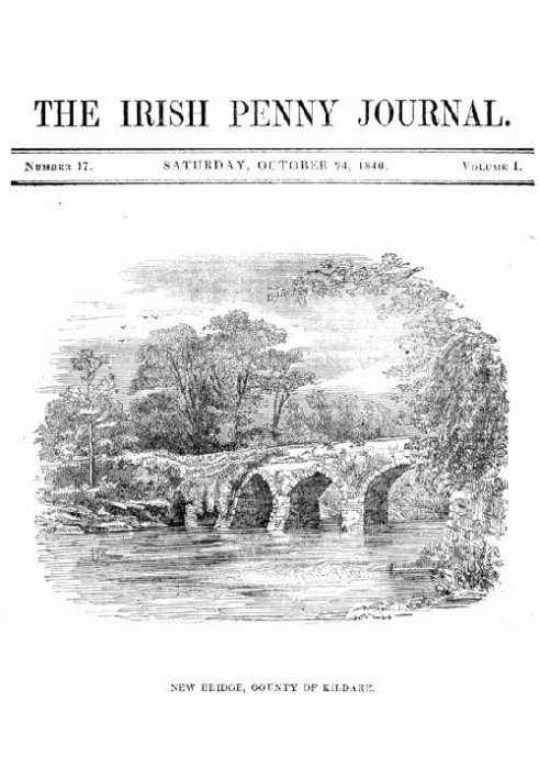 The Irish Penny Journal, Vol. 1 № 17, 24 жовтня 1840 р