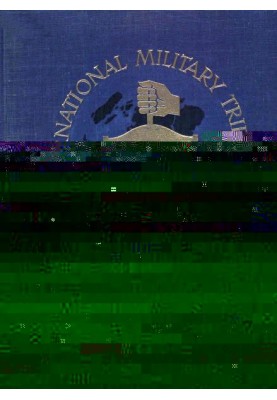 The vow to be chaste: novel
