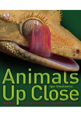 Animals Up Close: Zoom in on the World's Most Incredible Creatures