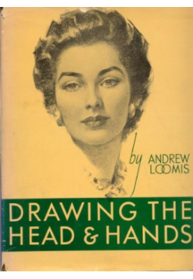 Drawing the head and hands